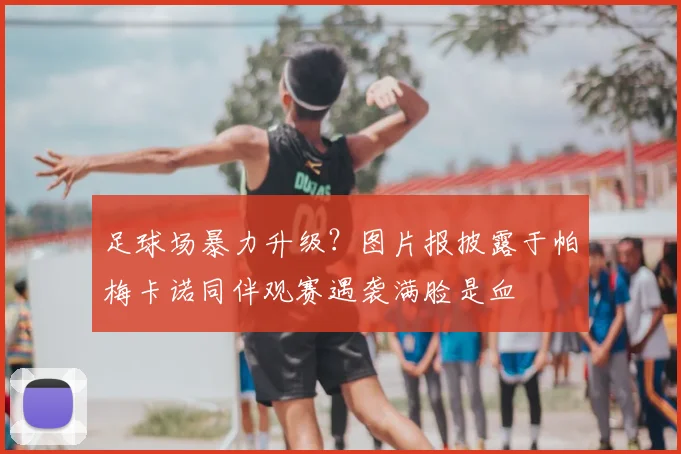 足球场暴力升级？图片报披露于帕梅卡诺同伴观赛遇袭满脸是血
